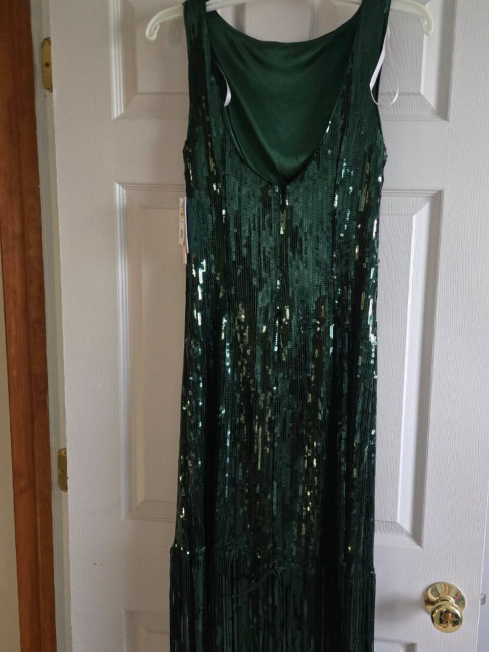 Flapper Dress - Picture 2 of 4